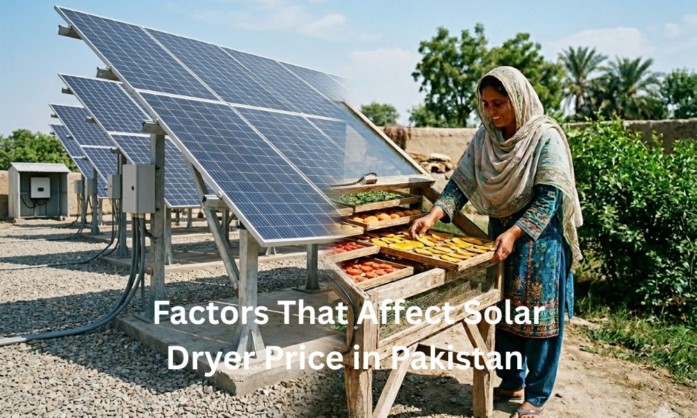 Factors That Affect Solar Dryer Price in Pakistan 